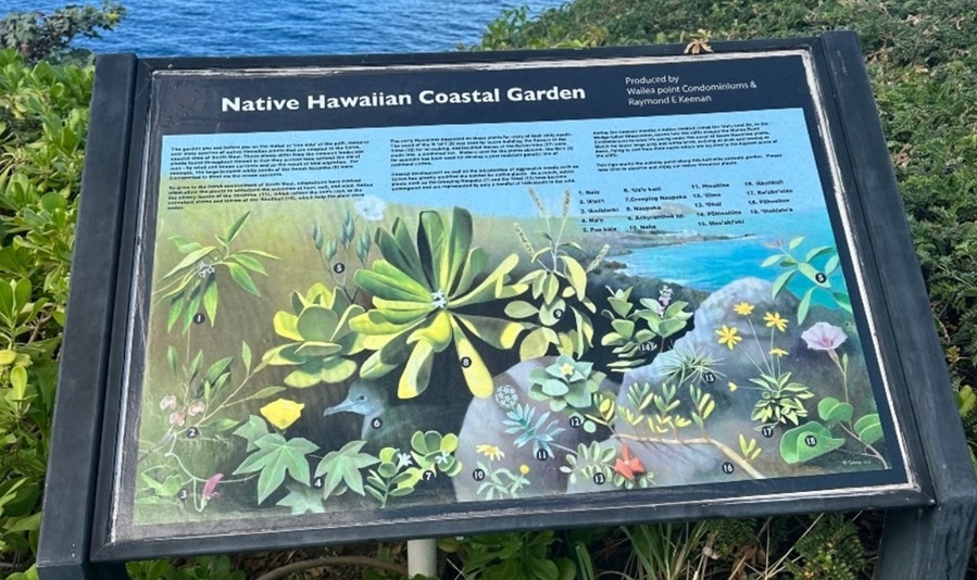 Wailea Point sign