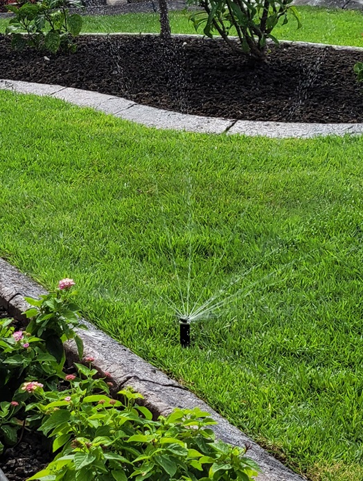 sprinkler head